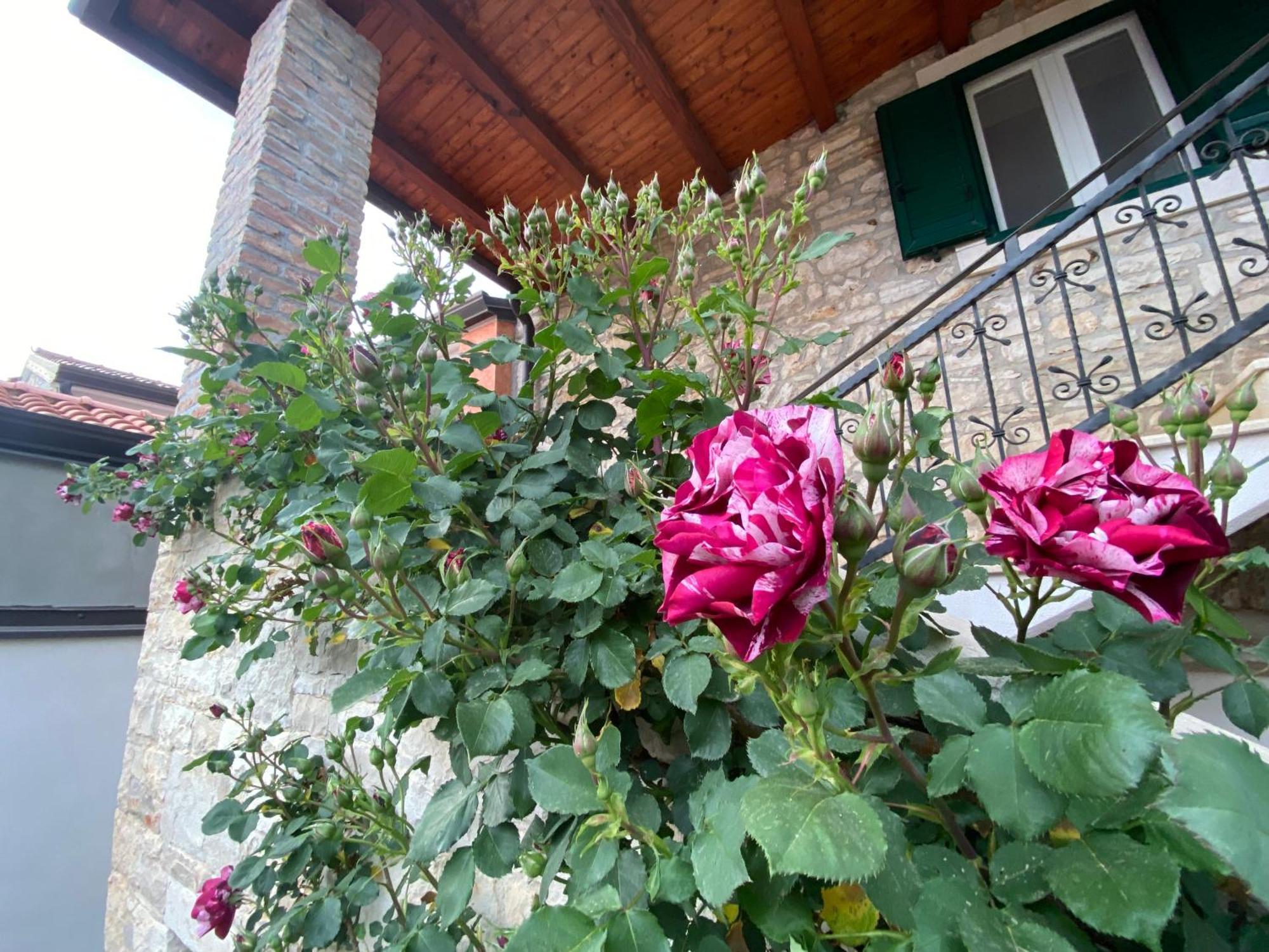 Villa Kortina Basanija Exterior photo